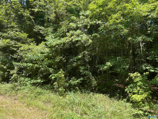 23 ACRES TANGLEWOOD TRAIL, HOKES BLUFF, AL 35903 - Image 1