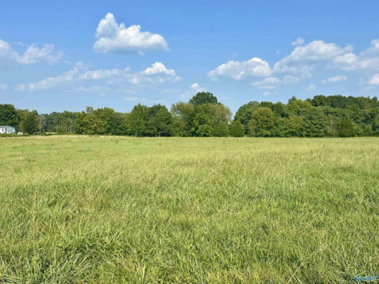 001 COUNTY ROAD 89, ANDERSON, AL 35610 - Image 1