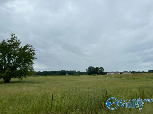 LOT 3 TRACT A SUMMERFORD ORR ROAD, FALKVILLE, AL 35622, photo 3 of 3