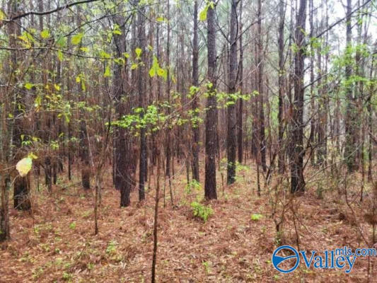 3.7 ACRES COUNTY ROAD 130, WINFIELD, AL 35594, photo 2 of 10