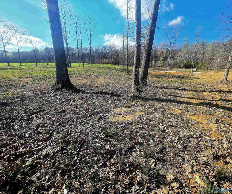 LOT 14 THOMPSON ROAD # LOT 14, ALTOONA, AL 35952, photo 1 of 2