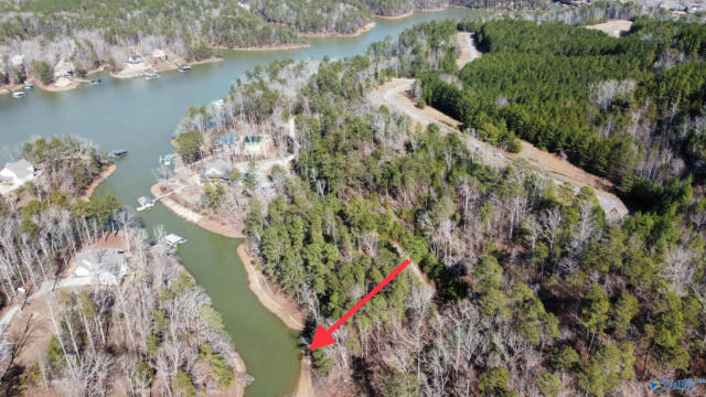 LOT 41 SIPSEY OVERLOOK, DOUBLE SPRINGS, AL 35553, photo 5 of 14