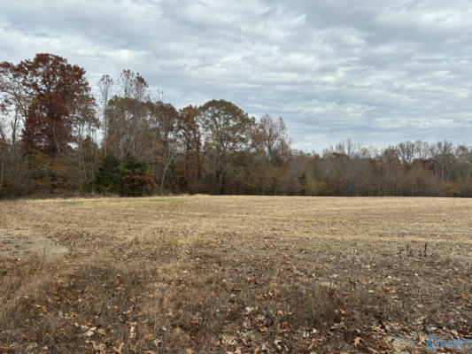 34 ACRES HONEA ROAD, HAZEL GREEN, AL 35750, photo 4 of 11