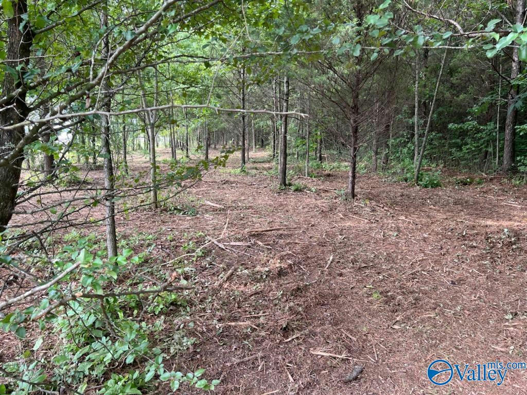 6.21 ACRES SOUTH GREENWAY DRIVE, TRINITY, AL 35673, photo 1 of 7