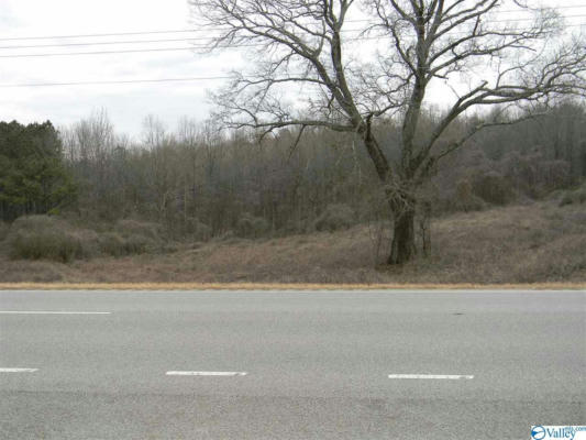 LOT # 2 US HIGHWAY 411, LEESBURG, AL 35983, photo 4 of 6