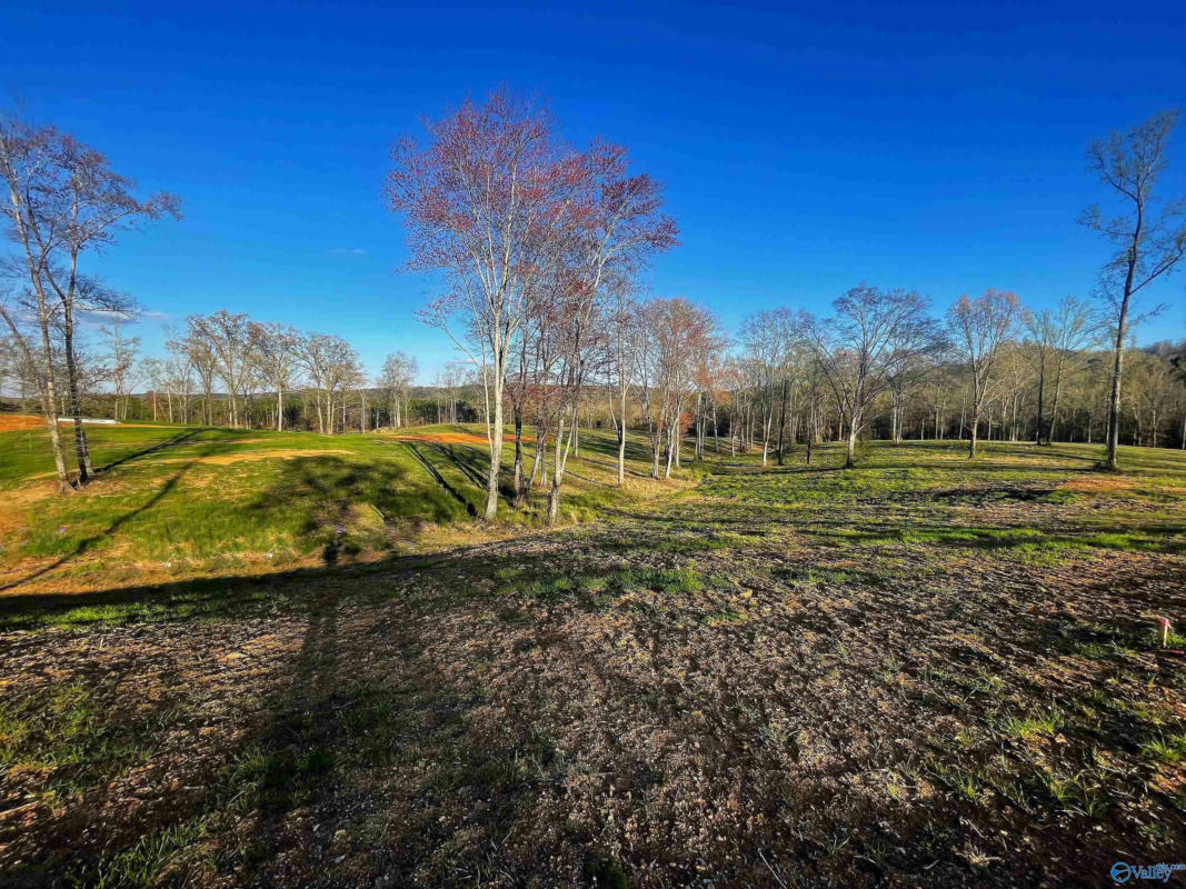 LOT 25 THOMPSON ROAD # LOT 25, ALTOONA, AL 35952, photo 1 of 4