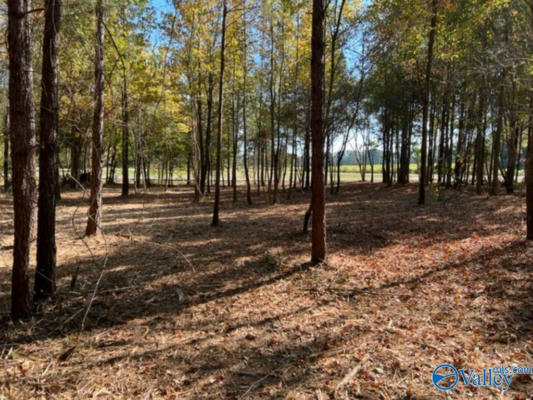 TRACT 1 LYLE CIRCLE, SOMERVILLE, AL 35670, photo 2 of 3