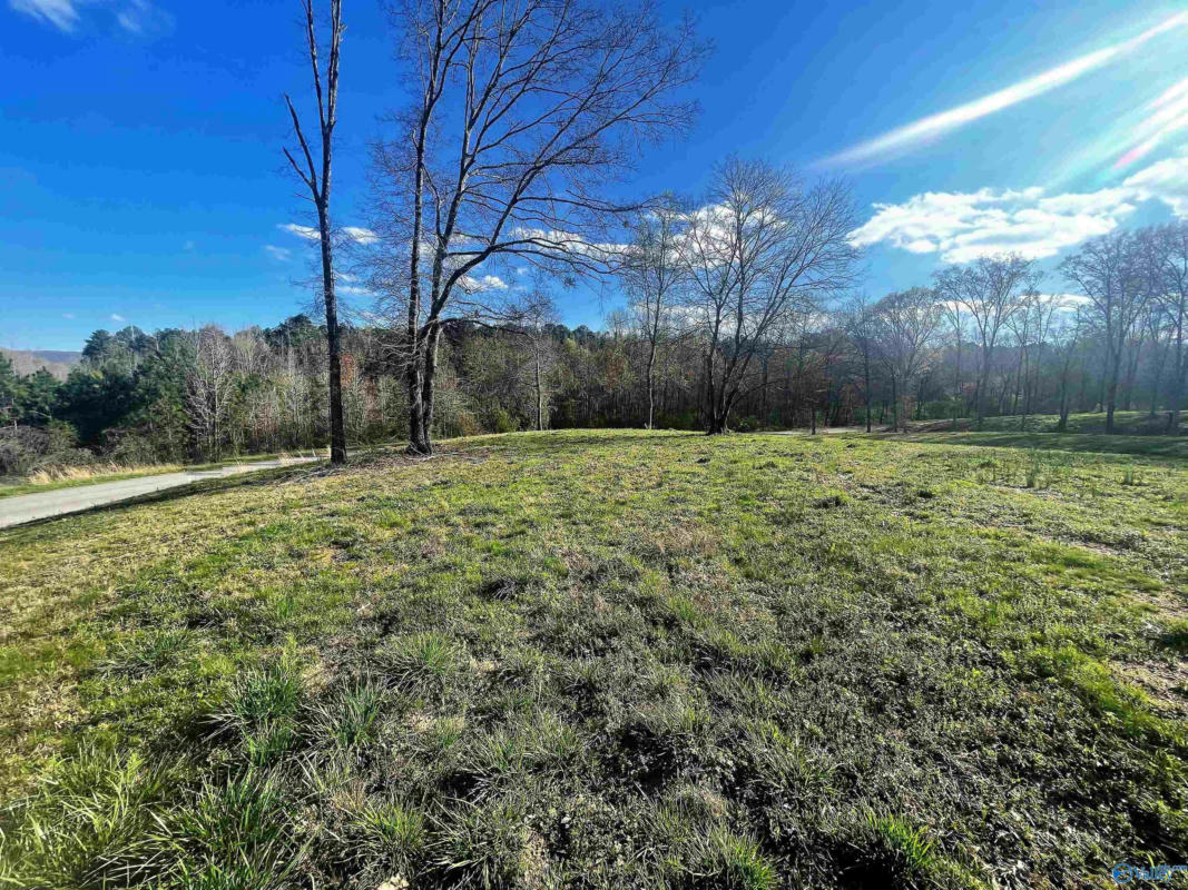 LOT 17 THOMPSON ROAD # LOT 17, ALTOONA, AL 35952, photo 1 of 4