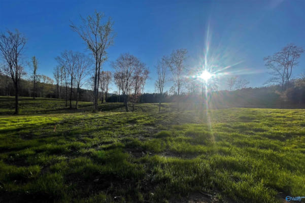 LOT 26 THOMPSON ROAD # LOT 26, ALTOONA, AL 35952, photo 2 of 5