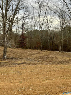 LOT 2 THOMPSON ROAD, ALTOONA, AL 35952, photo 2 of 44