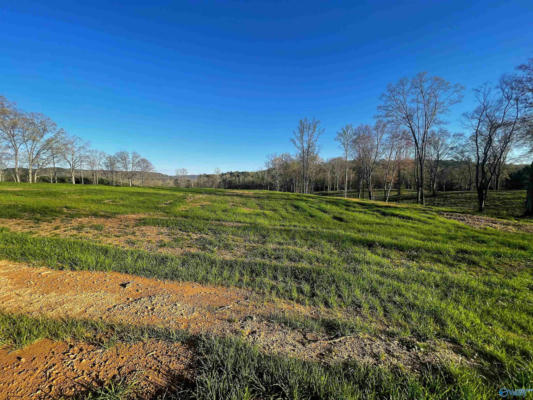 LOT 26 THOMPSON ROAD # LOT 26, ALTOONA, AL 35952, photo 5 of 5