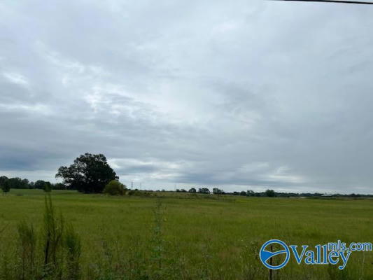 LOT 3 TRACT A SUMMERFORD ORR ROAD, FALKVILLE, AL 35622, photo 2 of 3