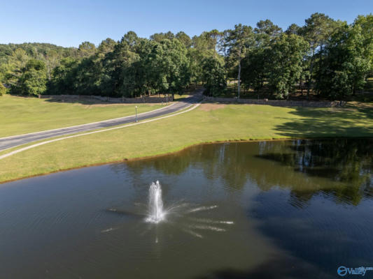 84 ROCKY RIDGE RD, CHEROKEE RIDGE, AL 35175, photo 2 of 20