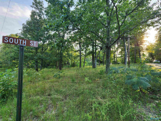 LOT #1,2,13,14, SOUTH STREET, MENTONE, AL 35984 - Image 1