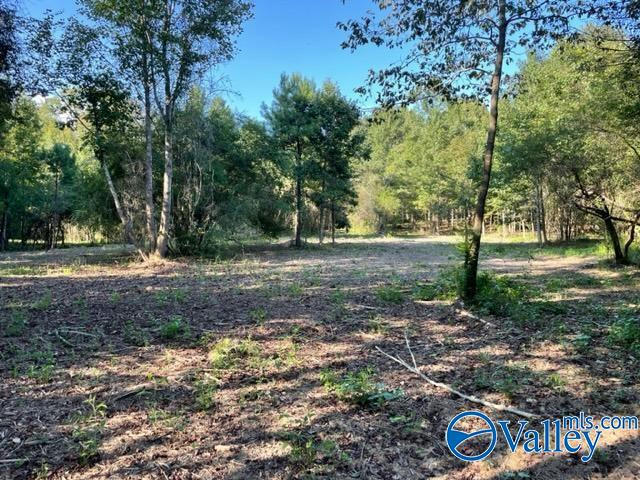 LOT 1 7.5+/-AC OLD UNION ROAD, GRANT, AL 35747, photo 1 of 11