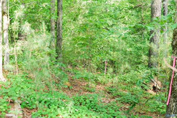 LOT # 6 STILLWATER COVES, DOUBLE SPRINGS, AL 35553, photo 5 of 14