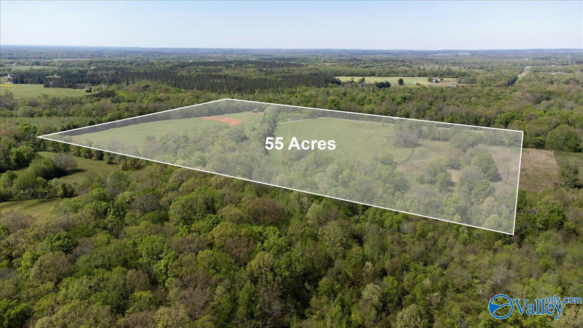 55 ACRES DAY STREET, MOULTON, AL 35650, photo 1 of 28