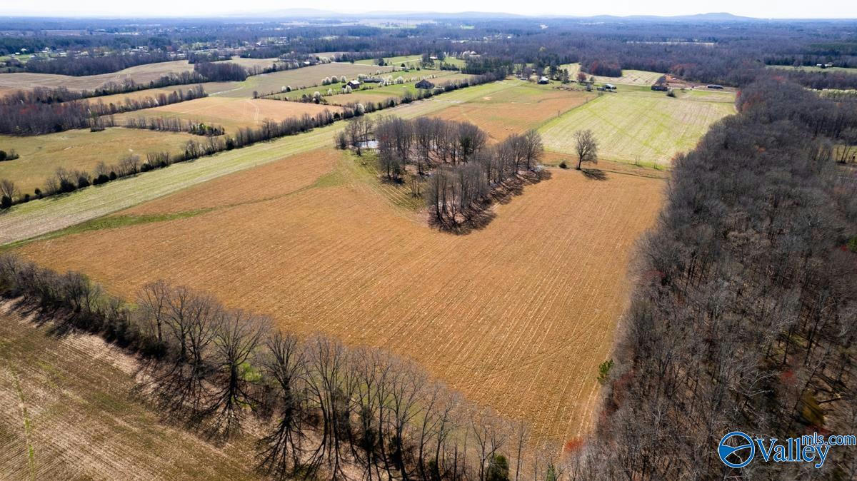 42.8 ACRES READY SECTION ROAD, TONEY, AL 35773, photo 1 of 13