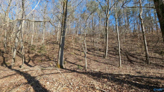 LOT 11 COUNTY ROAD 137, CEDAR BLUFF, AL 35959, photo 5 of 10