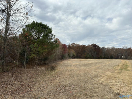 34 ACRES HONEA ROAD, HAZEL GREEN, AL 35750, photo 3 of 11