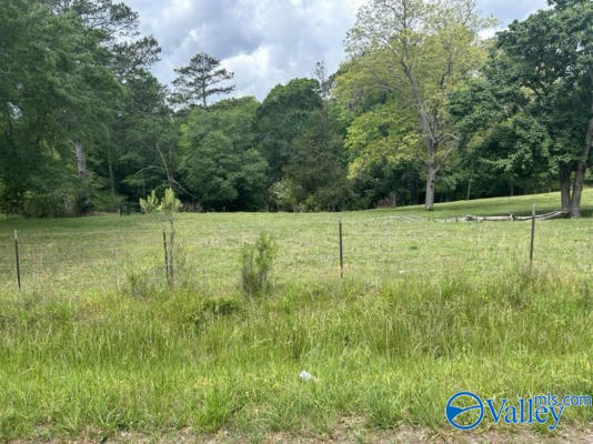 12 NIXON CHAPEL DOUGLAS RD, HORTON, AL 35980 - Image 1