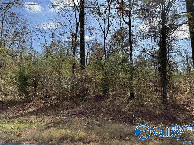 LOT 2 COUNTY ROAD 166, SAND ROCK, AL 35983, photo 1