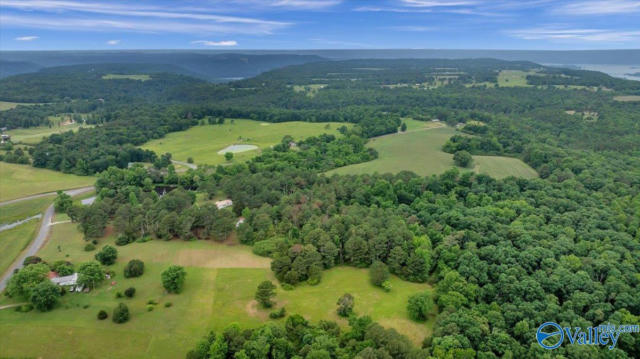 7.10 ACRES COUNTY ROAD 44, SECTION, AL 35771 - Image 1