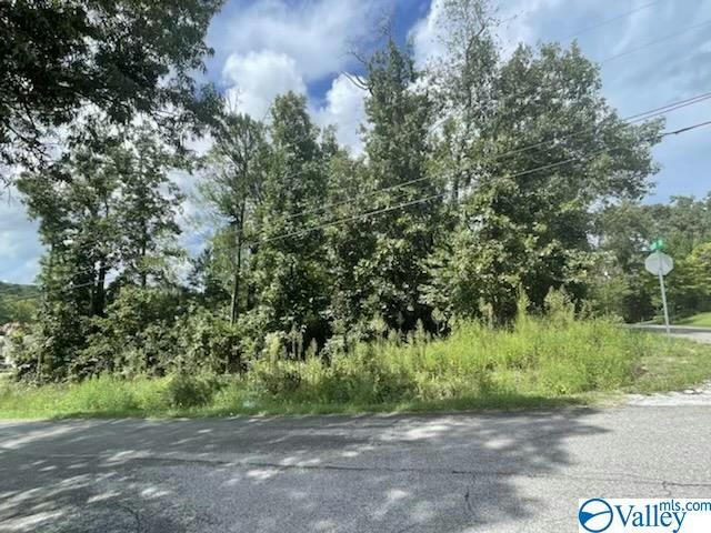 LOT 13-14 ANCHOR DRIVE, SOUTHSIDE, AL 35907, photo 1