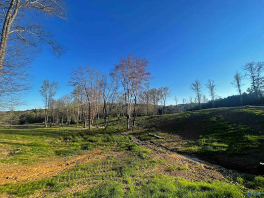 LOT 25 THOMPSON ROAD # LOT 25, ALTOONA, AL 35952, photo 4 of 4