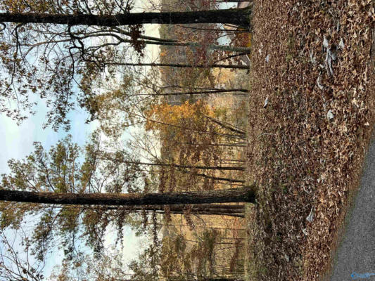 LOT 6 WHIPPOORWILL DRIVE, DOUBLE SPRINGS, AL 35553, photo 4 of 6