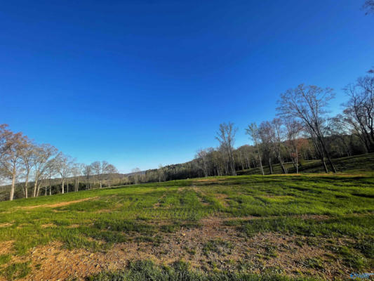 LOT 26 THOMPSON ROAD # LOT 26, ALTOONA, AL 35952, photo 3 of 5