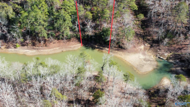 LOT 41 SIPSEY OVERLOOK, DOUBLE SPRINGS, AL 35553, photo 4 of 14