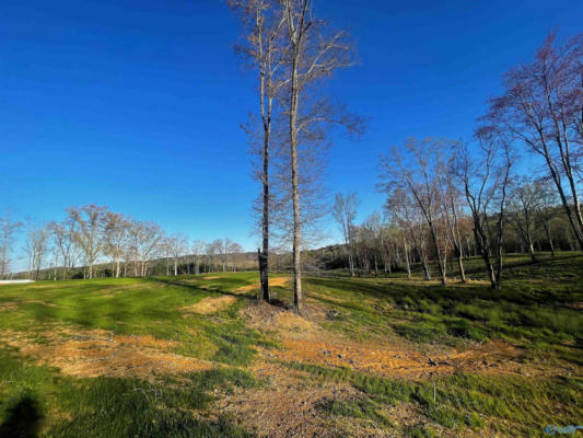 LOT 26 THOMPSON ROAD # LOT 26, ALTOONA, AL 35952, photo 4 of 5