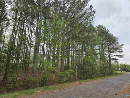 1.12+/- ACRES 0 SCENIC DRIVE, SECTION, AL 35771, photo 4 of 41
