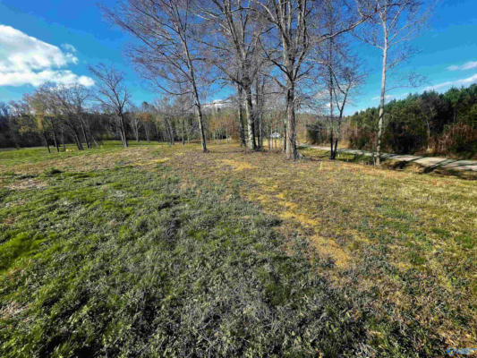 LOT 16 THOMPSON ROAD # LOT 16, ALTOONA, AL 35952, photo 4 of 4