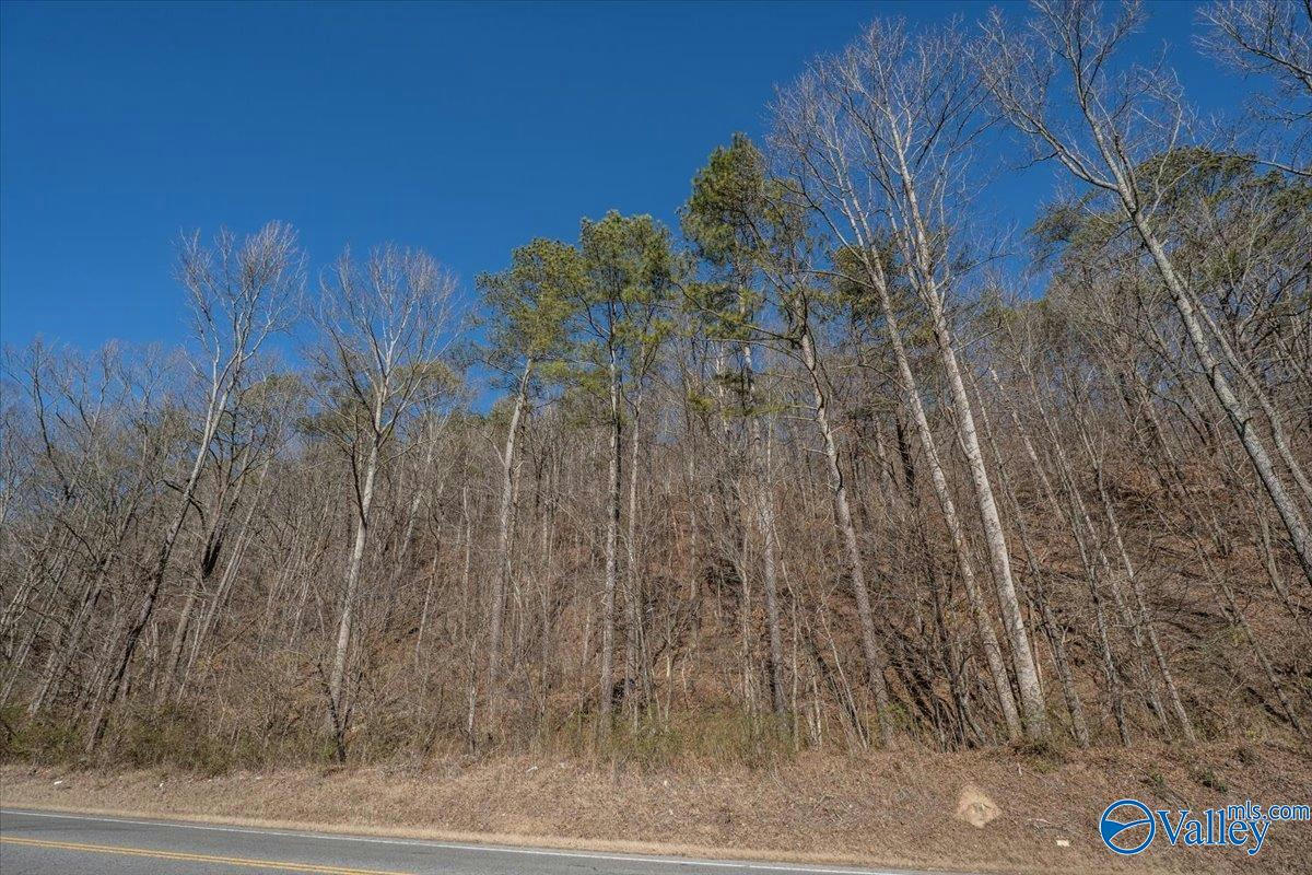 6 ACRES STATE ROAD 68, COLLINSVILLE, AL 35961, photo 1 of 7