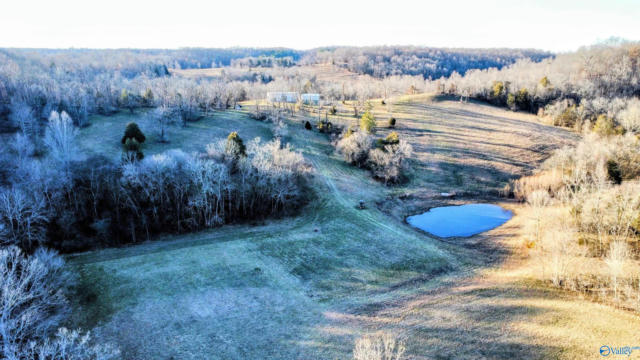 1820 PETTY HOLLOW RD N, LYNNVILLE, TN 38472 - Image 1