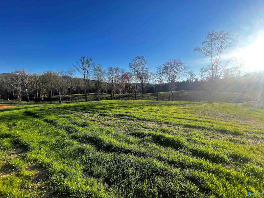 LOT 26 THOMPSON ROAD # LOT 26, ALTOONA, AL 35952, photo 1 of 5