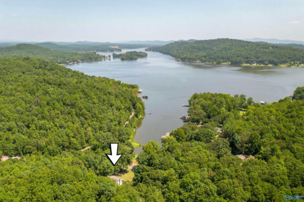 260 COUNTY ROAD 728, CEDAR BLUFF, AL 35959 - Image 1