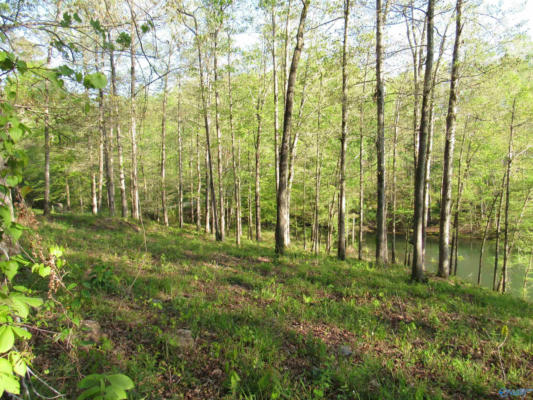 LOT 25 LEGENDARY PARKWAY, ARLEY, AL 35541, photo 4 of 6