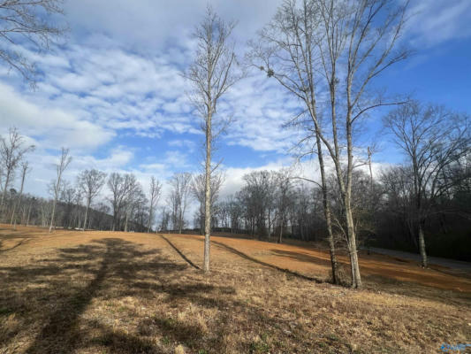 LOT 1 THOMPSON ROAD # LOT 1, ALTOONA, AL 35952, photo 5 of 50