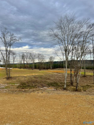 LOT 1 THOMPSON ROAD # LOT 1, ALTOONA, AL 35952, photo 4 of 50