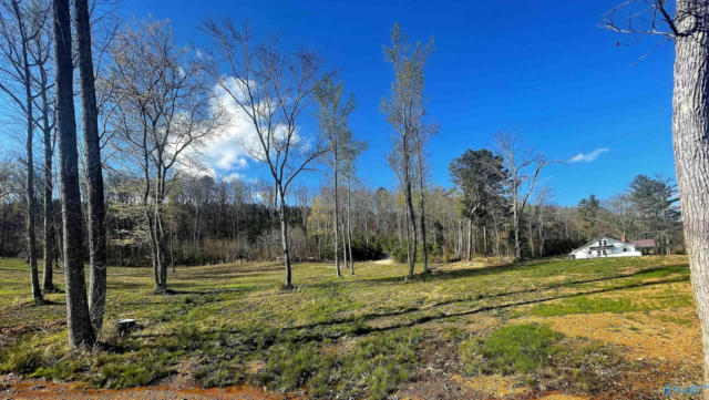 LOT 13 THOMPSON ROAD # LOT 13, ALTOONA, AL 35952, photo 3 of 3