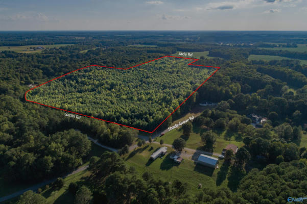 58 ACRES JADE ROAD, TONEY, AL 35773 - Image 1