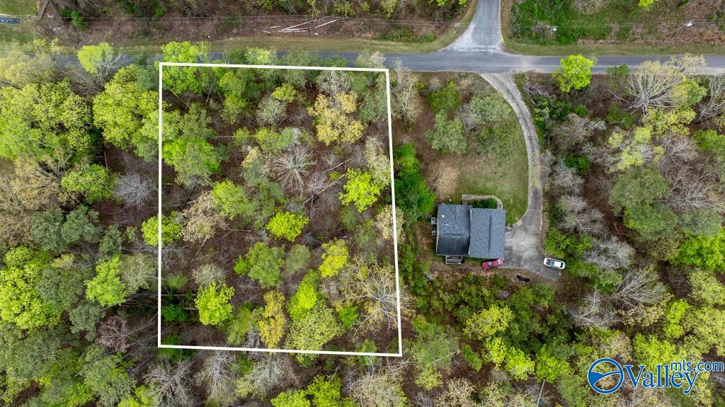 LOT 62 DIANNE AVENUE, SOUTHSIDE, AL 35907, photo 1 of 7