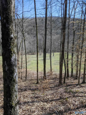 100 ACRES NW COUNTY ROAD 119 NW, LIMROCK, AL 35966 - Image 1