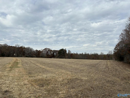 34 ACRES HONEA ROAD, HAZEL GREEN, AL 35750, photo 2 of 11