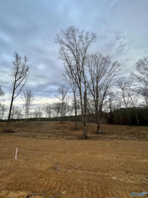 LOT 2 THOMPSON ROAD, ALTOONA, AL 35952, photo 5 of 44