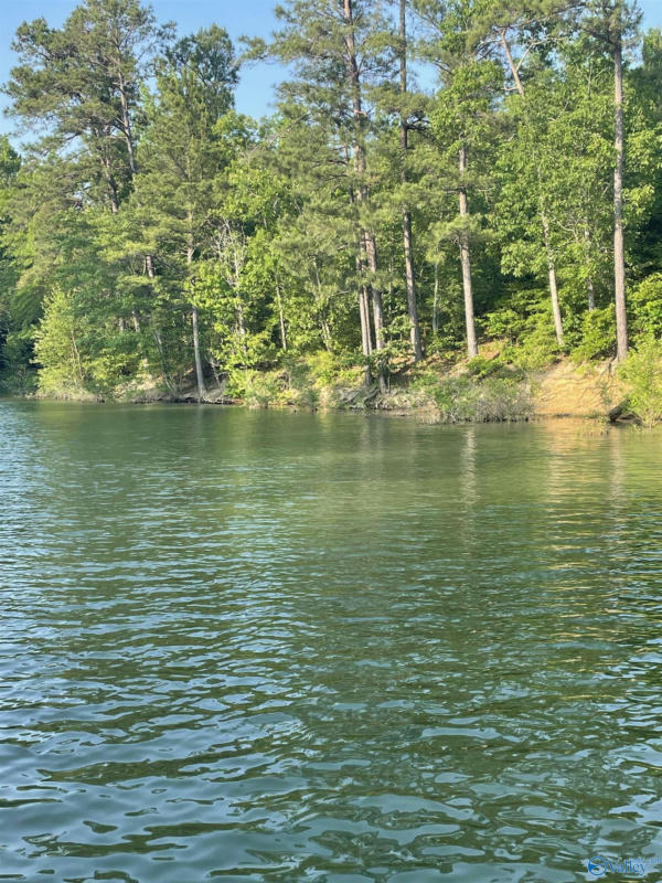 LOT # 6 STILLWATER COVES, DOUBLE SPRINGS, AL 35553, photo 1 of 14