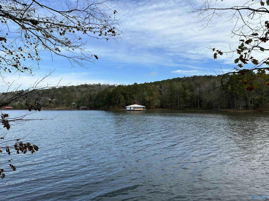 LOT 19 MOHAWK CLIFF ROAD, OHATCHEE, AL 36271, photo 1 of 14